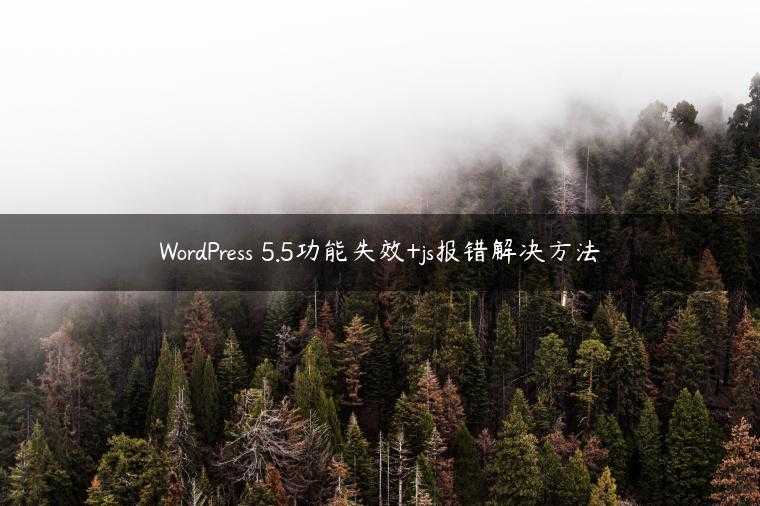WordPress 5.5功能失效+js报错解决方法
                     第一张